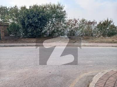 Back Open View Plot For Sale