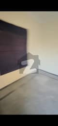 5 5
