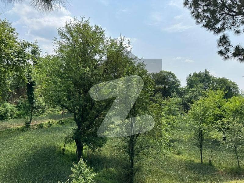2 2