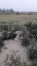 1 1