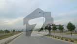 1 1