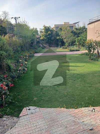 6 Kanal Beautiful Farm House Available For Rent In Banigala