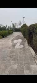 24 