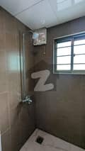 3 3