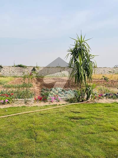 5 Kanal Farmhouse Land For Sale In Neela Dullah