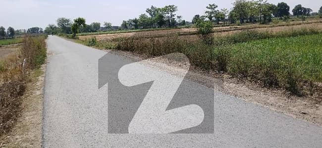 برکی روڈ کینٹ,لاہور میں 24 کنال زرعی زمین 4.83 کروڑ میں برائے فروخت۔