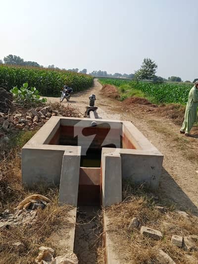 دنیا پور روڈ ملتان میں 8 کنال زرعی زمین 75.0 لاکھ میں برائے فروخت۔