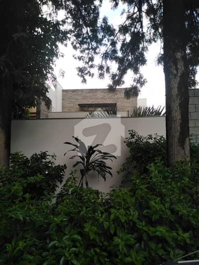 Prime Location Excellent House Tile And Wood Floor Ideal For Foreigners-