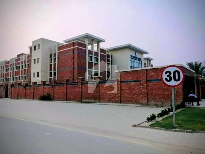 5 5
