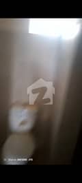7 7