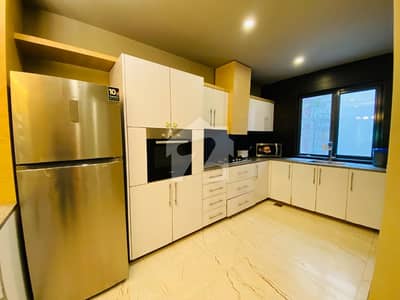 Brand New Ground Portion Luxurious Fully Furnished With Lawn For Rent