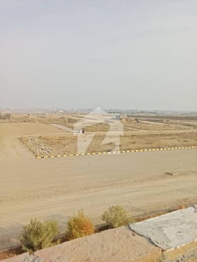 5 Marla Plot In Street 15 Of Block F