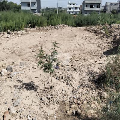 4 Marla Plot For Sale In I-11