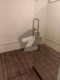 6 6