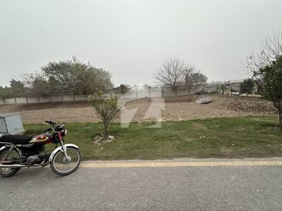 5 Marla Plot Available In Tulip Block (Best Location) 5 Marla Plot Available In Tulip Block (Best Location)
