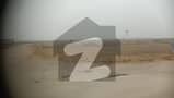 1 1