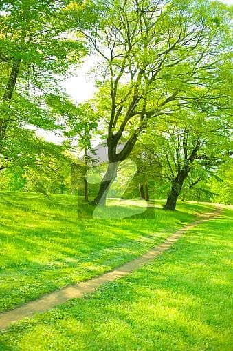 1 Kanal Corner Facing Park Plot 1 Kanal Corner Facing Park Plot