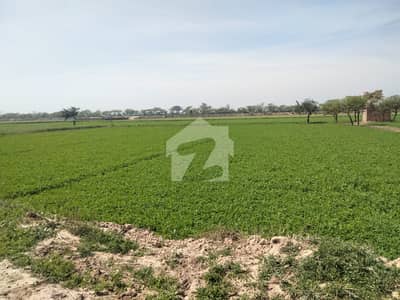 16 Kanal Open Land for Sale Bedian Road, Lahore