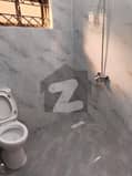 7 7