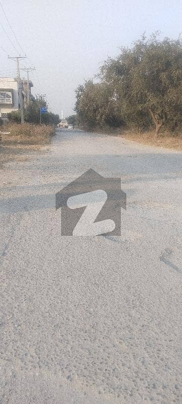 SUN FACE IDEAL OPTION PLOT FOR SALE