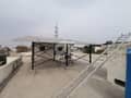 31 31