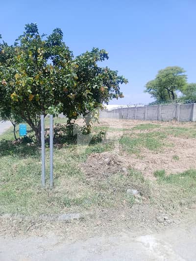 10 Marla Plot With Extra Land In Sector D 10 Marla Plot With Extra Land In Sector D