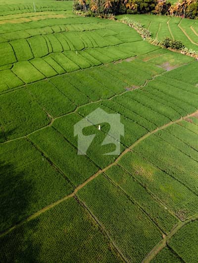 2 KANAL AFFIDAVIT FILE AVAILABLE FOR SALE AT SAME DAY SUBMISSION 2 KANAL AFFIDAVIT FILE AVAILABLE FOR SALE AT SAME DAY SUBMISSION