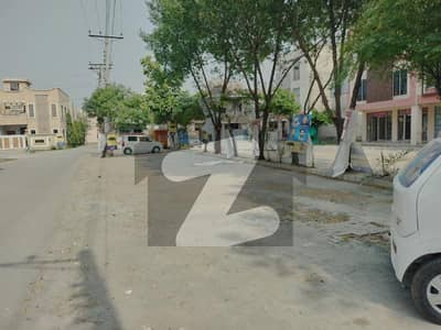One Bed Room Apartment Available Or Rent