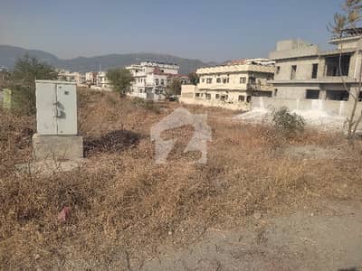 PLOT FOR SALL IN D 12/1 SIZE 25*50