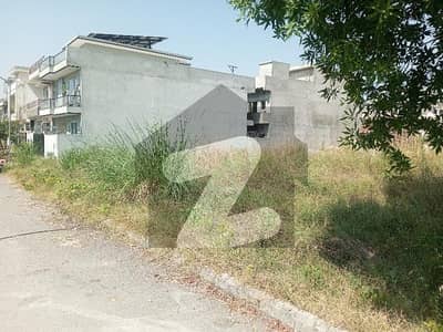5 Marla Level Plot On Carpet Road Builder Location For Urgent Sale