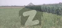 3 3