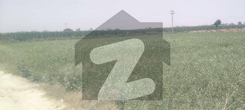 5 5