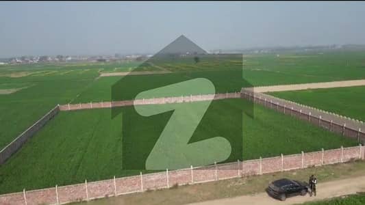 Investor Rate 4 Kanal Farm House Plot For Sale