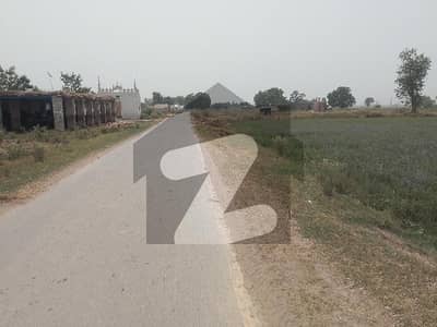 BEDIAN ROAD 1 KANAL FARM HOUSE PLOT FOR SALE