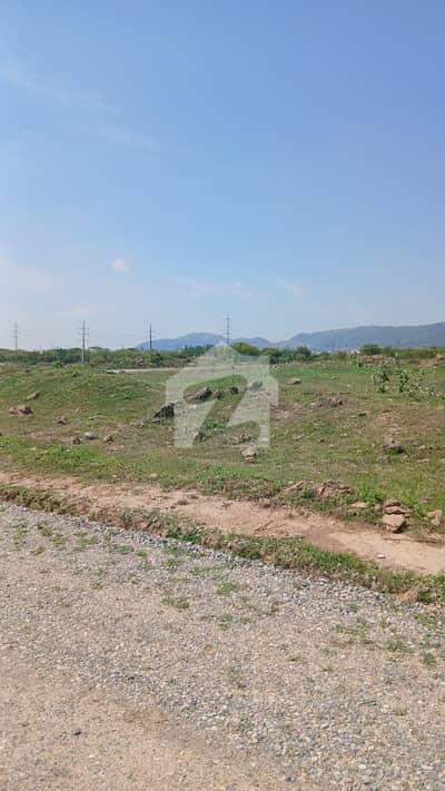 5 Marla Plot For Sale In Sector E-12/3