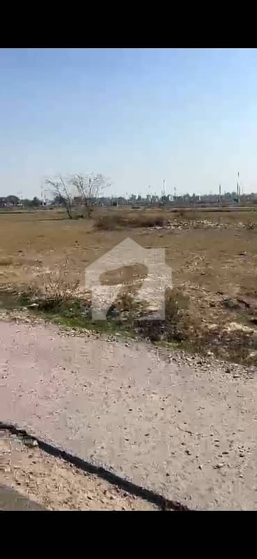 Block N Corner Kanal Plot Carpated Road's For Sale