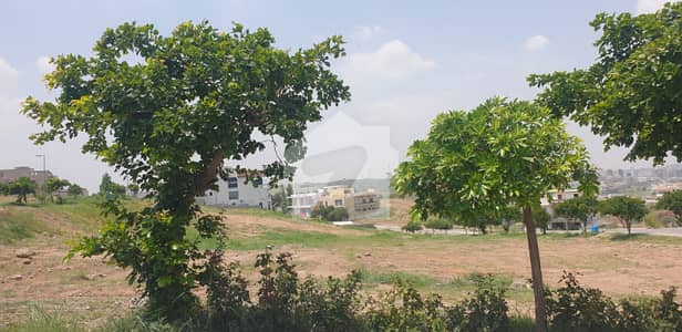 PAIR Plots, Height + Near CENTRAL PARK, Sector - B, DHA- 5