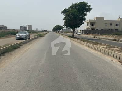 Hot Listing 500 Yards Plot for Sale