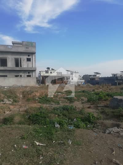 12 Marla Plot For Sale