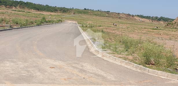 Good Location Developed Plot Sector F DHA - 3