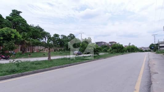 Urgent Sale, Reasonable Price, Level Plot