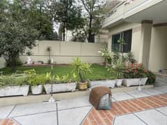 Luxury Independent Full House For Rent