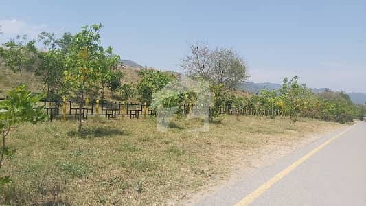 4 Marla Level Plot is For Sale in D-12 Islamabad