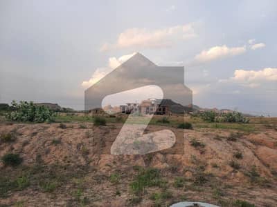 Solid Land Sun Face 30x60 Plot Available For Sale G Block Mpchs Solid Land Sun Face 30x60 Plot Available For Sale G Block Mpchs