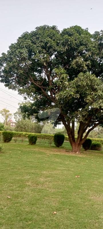 22 Marla Possession Plot X Block DHA Phase 8