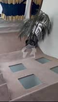 13 13