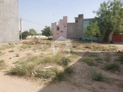 80 Sq Yard West Open Plot In A Well Developing Sector