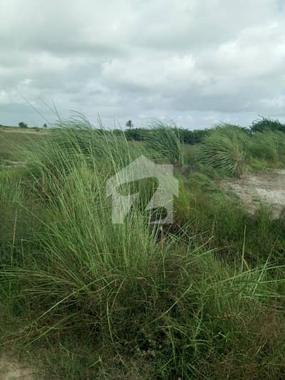 8 Acres Agriculture Land | On Road | Near Lait Stop Gharo Sakro Highway | Close to Gharo City, Karachi 8 Acres Agriculture Land | On Road | Near Lait Stop Gharo Sakro Highway | Close to Gharo City, Karachi
