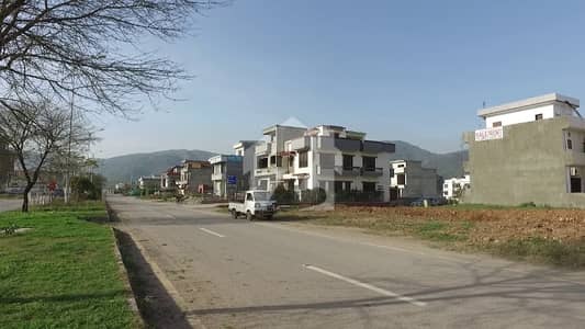 A Perfect Residential Plot Awaits You In D-12