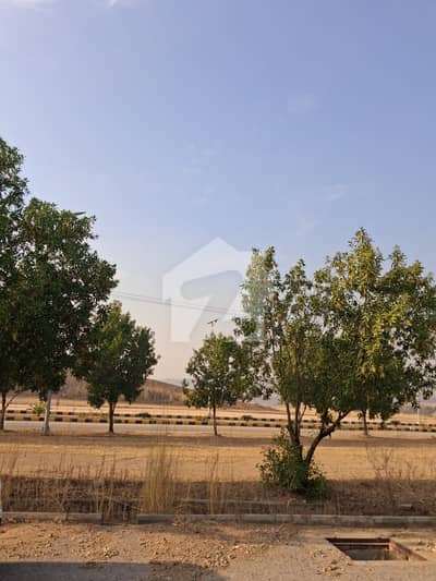 Premium Residential Plot for Sale in DHA Valley, Rose Block Premium Residential Plot for Sale in DHA Valley, Rose Block